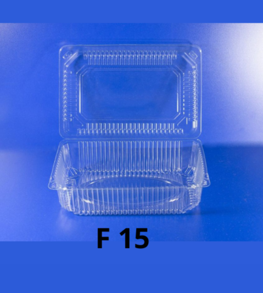F 15 konteyner