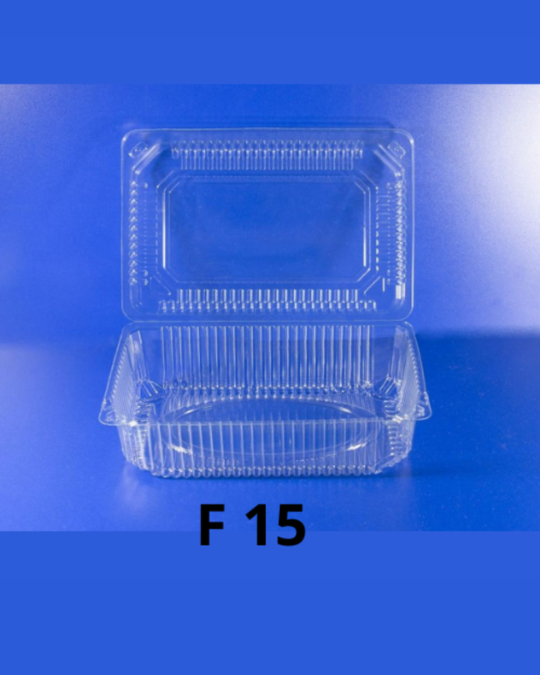F 15 konteyner
